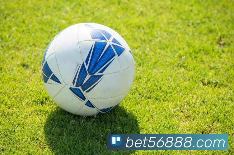 bet365comAPP 封面图